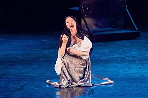 Мюзикл «Леди Гамильтон»